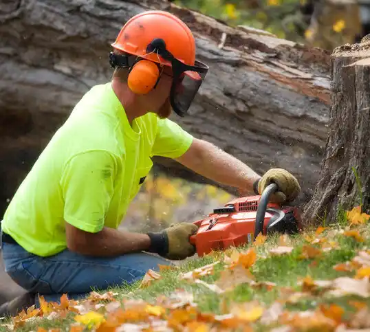 tree services Red Cloud